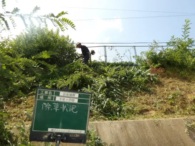 刈払機による法面の除草作業